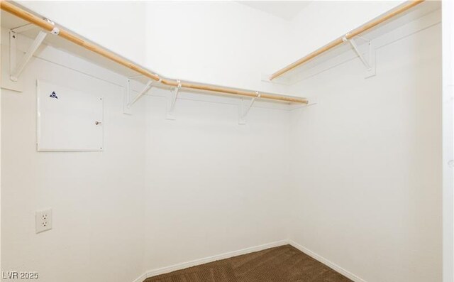11204 Newbury Hills Ave, Las Vegas, NV 89138 - walk in closet featuring dark carpet