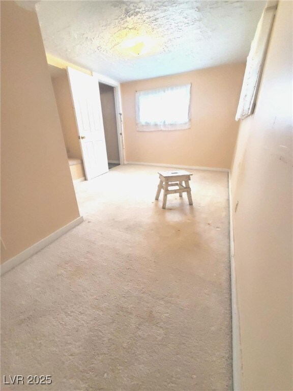 18 Third St, Mcgill, NV 89318 - below grade area featuring carpet flooring and a textured ceiling