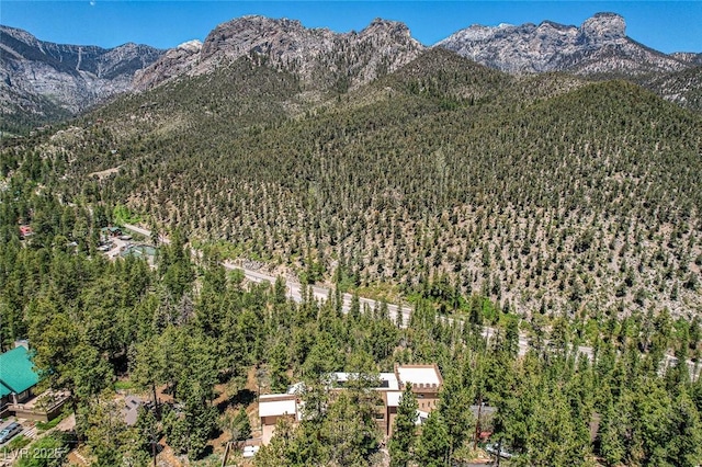 4162 Matterhorn Way, Las Vegas, NV 89124 - mountain view with a forest