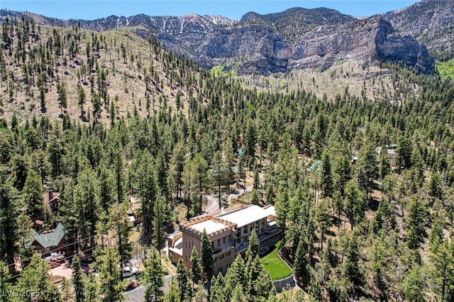 4162 Matterhorn Way, Las Vegas, NV 89124 - view of mountain backdrop with a forest