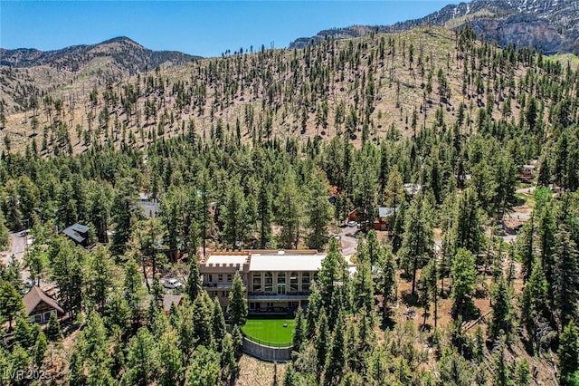4162 Matterhorn Way, Las Vegas, NV 89124 - view from above of property featuring a forest and a mountain backdrop