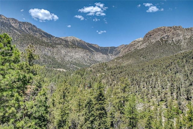 4162 Matterhorn Way, Las Vegas, NV 89124 - view of mountain background featuring a heavily wooded area