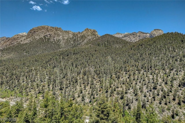 4162 Matterhorn Way, Las Vegas, NV 89124 - mountain view with a heavily wooded area