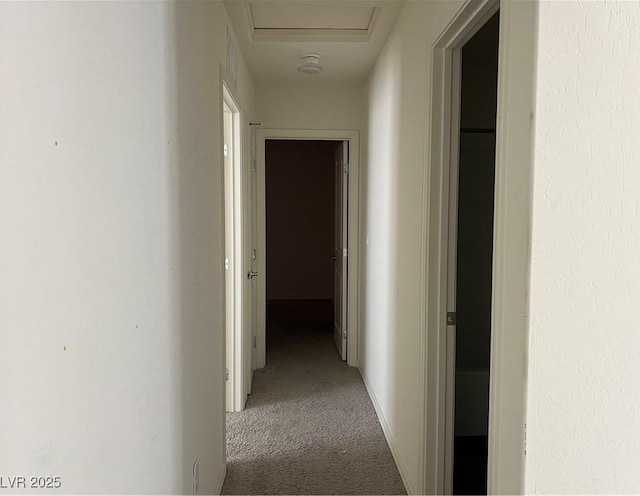6755 Warthog Ave, Las Vegas, NV 89156 - photo 12