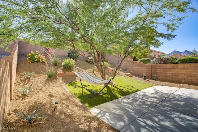 305 Napa Hills Dr, Las Vegas, NV 89144 - fenced backyard featuring a patio