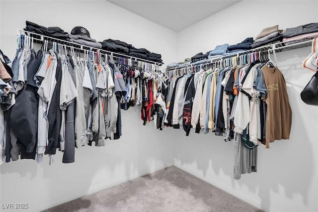 10292 Fragrant Apple Ct, Las Vegas, NV 89141 - walk in closet featuring carpet floors