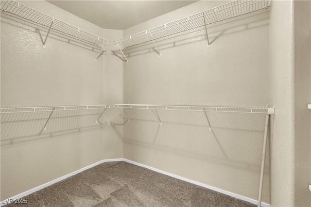 682 E Sole Addiction Ave, Las Vegas, NV 89183 - walk in closet with carpet floors