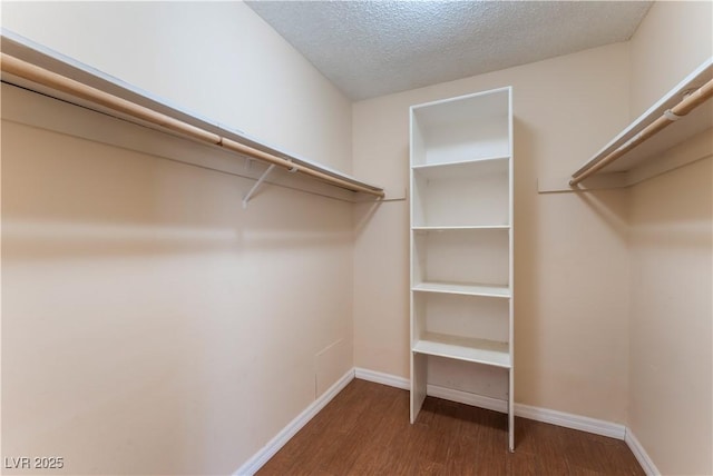 1470 Elizabeth Ave Unit 1, Las Vegas, NV 89119 - walk in closet featuring wood finished floors