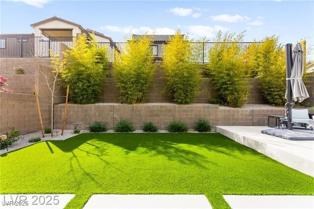 2407 Ridgeline Wash St, Las Vegas, NV 89138 - view of yard