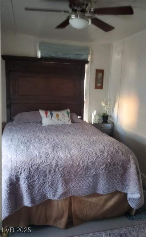 2228 Campton, Ely, NV 89301 - bedroom with ceiling fan