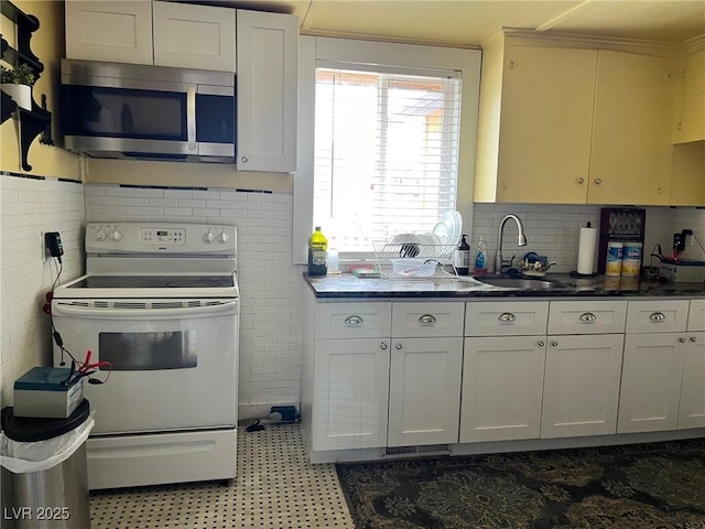 2228 Campton, Ely, NV 89301 - kitchen with electric range, stainless steel microwave, a sink, and plenty of natural light
