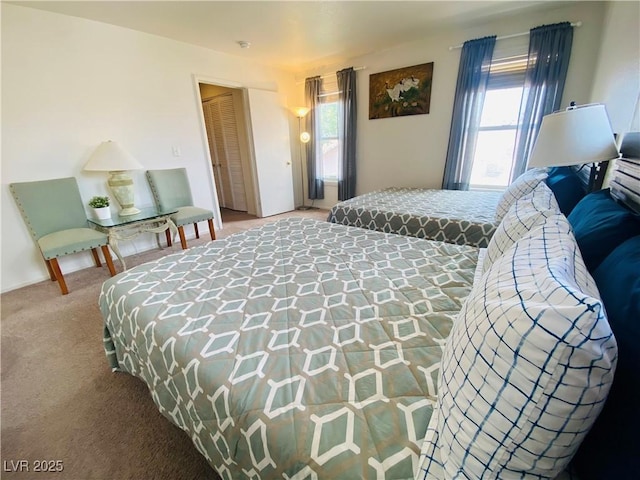 11117 Okeefe Ct, Las Vegas, NV 89144 - carpeted bedroom featuring a closet