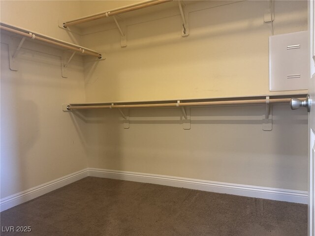 7934 Cape Flattery Ave, Las Vegas, NV 89147 - view of walk in closet