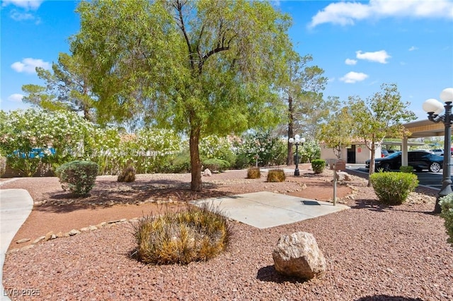 8409 Running Deer Ave Unit 203, Las Vegas, NV 89145 - view of yard