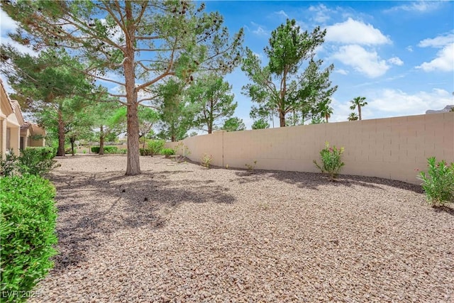 2323 Barbers Point Pl, Las Vegas, NV 89134 - view of yard