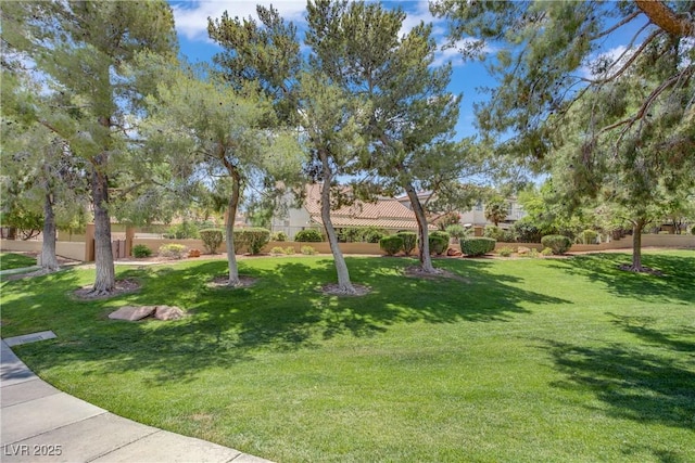 1305 Chaparral Summit Dr, Las Vegas, NV 89117 - view of yard