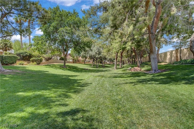 1305 Chaparral Summit Dr, Las Vegas, NV 89117 - view of yard