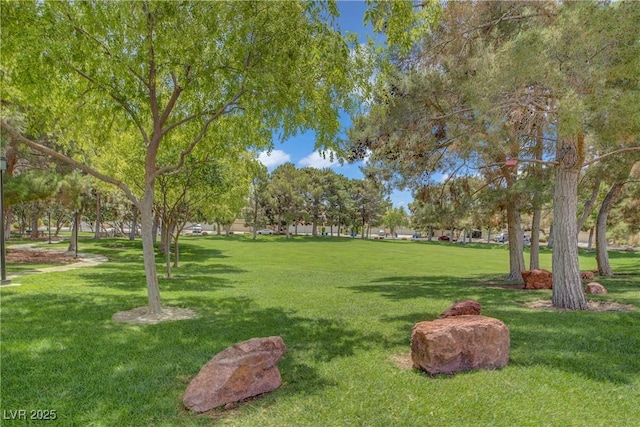 1305 Chaparral Summit Dr, Las Vegas, NV 89117 - view of community featuring a yard