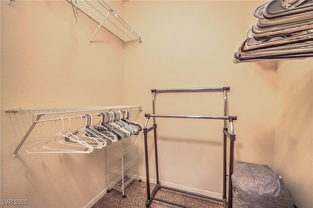 6480 Annie Oakley Dr Unit 624, Las Vegas, NV 89120 - walk in closet with carpet floors