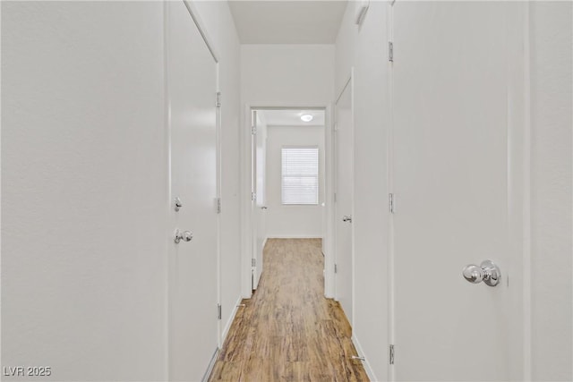9535 Stills Way, Las Vegas, NV 89148 - corridor with light wood finished floors and baseboards