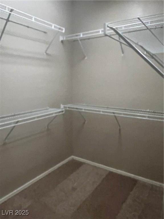 6092 Fox Creek Ave, Las Vegas, NV 89122 - view of spacious closet