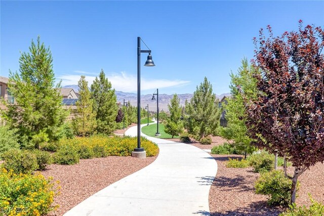 9876 Heather Moore Ave, Las Vegas, NV 89166 - photo 51