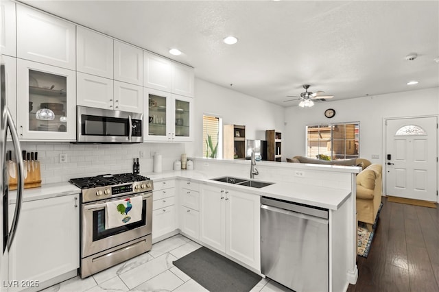 9613 Eland Ct, Las Vegas, NV 89149 - kitchen featuring stainless steel appliances, open floor plan, a sink, a peninsula, and a ceiling fan
