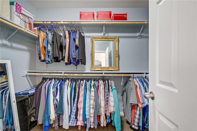 320 Point Loma Ave, North Las Vegas, NV 89031 - view of walk in closet