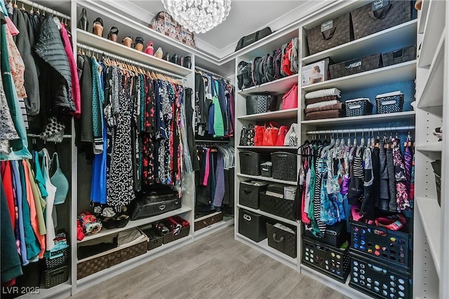 10484 Rose Park Ave, Las Vegas, NV 89135 - spacious closet with wood finished floors and a chandelier