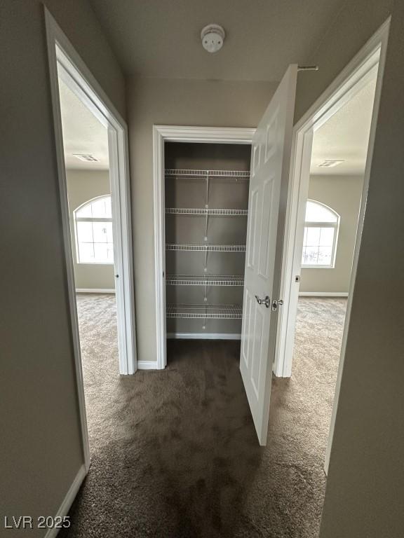 8116 Russell Creek Ct, Las Vegas, NV 89139 - view of closet
