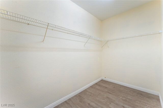 908 Cypress Gold Ct, North Las Vegas, NV 89031 - walk in closet featuring light wood-style flooring