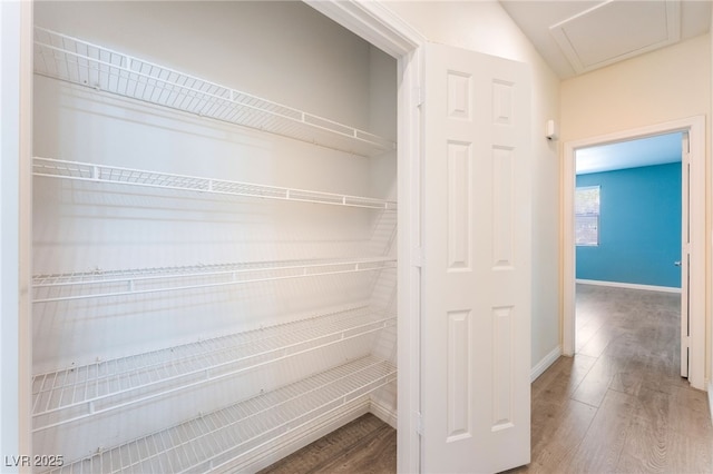 908 Cypress Gold Ct, North Las Vegas, NV 89031 - view of closet