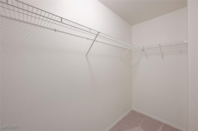2586 Begonia Valley Ave, Henderson, NV 89074 - spacious closet featuring carpet flooring