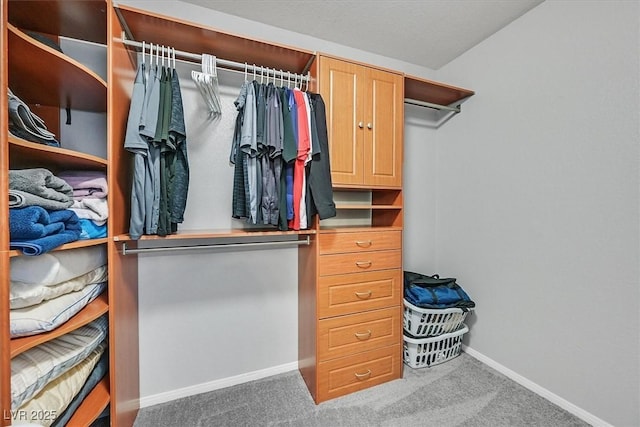 9010 Wine Cellar Ave, Las Vegas, NV 89148 - walk in closet with carpet floors
