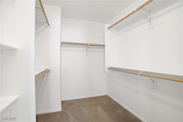 9190 Wine Cellar Ave, Las Vegas, NV 89148 - walk in closet with carpet floors