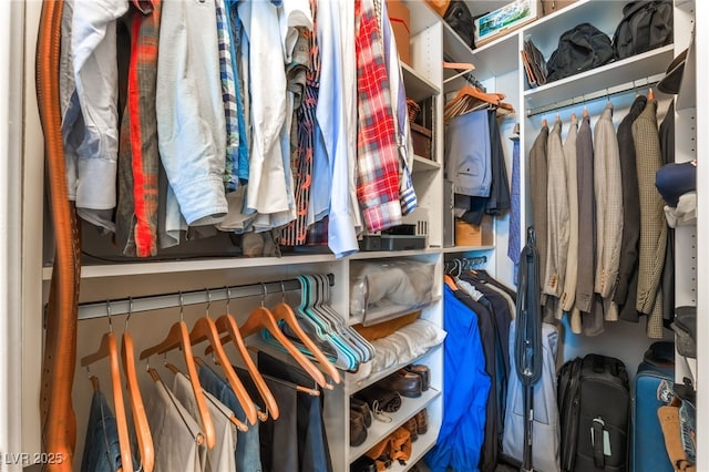 6955 N Durango Dr Unit 3013, Las Vegas, NV 89149 - view of spacious closet