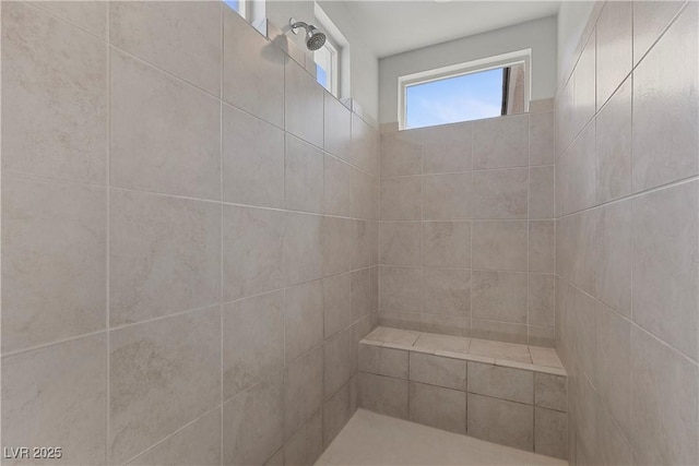 2890 Reverence Heights Ln, Las Vegas, NV 89138 - full bath featuring a tile shower