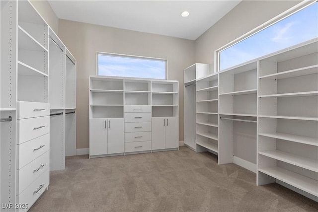 2890 Reverence Heights Ln, Las Vegas, NV 89138 - walk in closet with light colored carpet