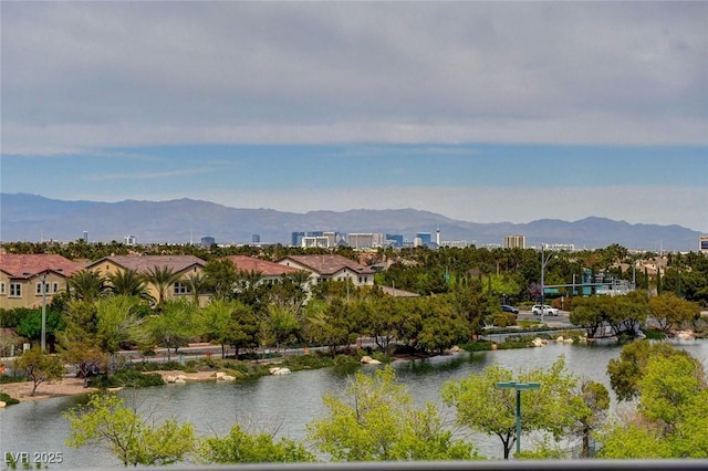 3980 Heron Fairway Dr, Las Vegas, NV 89141 - photo 39