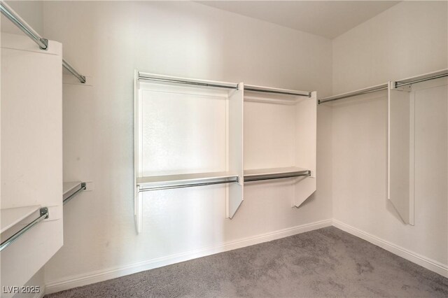 7332 Redhead Dr, North Las Vegas, NV 89084 - spacious closet with carpet