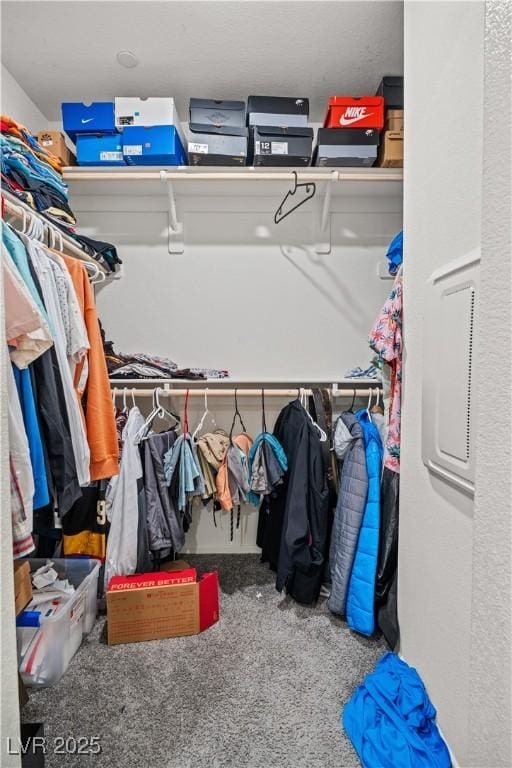 9929 Bumblebee Hills St, Las Vegas, NV 89141 - spacious closet featuring carpet flooring