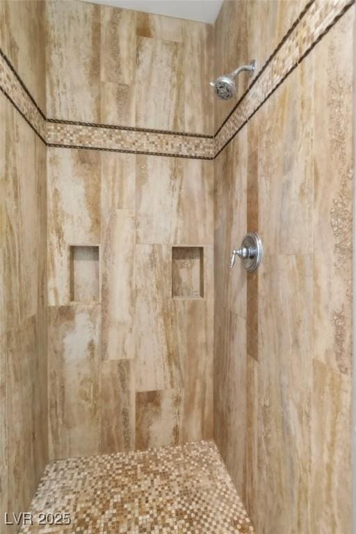 10420 Loma Portal Ave, Las Vegas, NV 89166 - bathroom with tiled shower