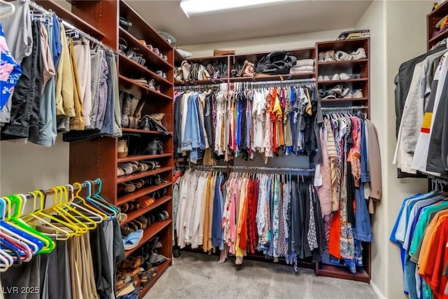 10420 Loma Portal Ave, Las Vegas, NV 89166 - spacious closet featuring carpet floors
