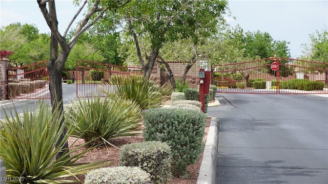 10420 Loma Portal Ave, Las Vegas, NV 89166 - view of yard with a gate