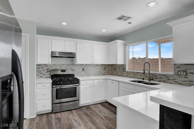 8389 Charlton Valley Ct, Las Vegas, NV 89123 - kitchen with stainless steel appliances, a sink, under cabinet range hood, light countertops, and wood finished floors