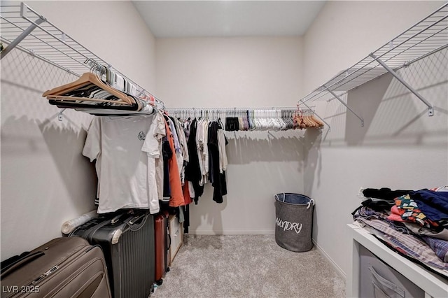 4293 Nopal Serrano Ave, Las Vegas, NV 89141 - walk in closet with carpet