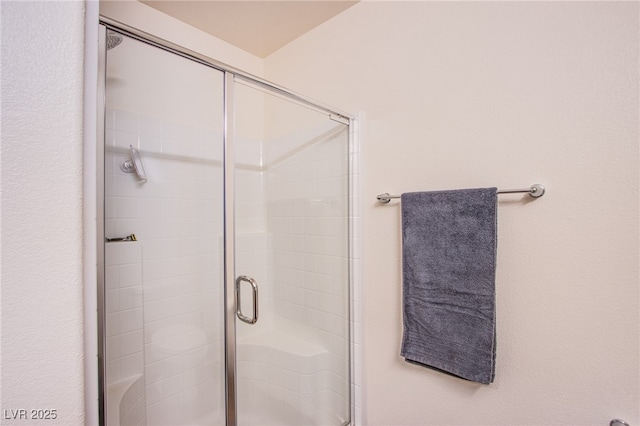 6819 Citron Mist Ct, North Las Vegas, NV 89086 - full bath with a stall shower