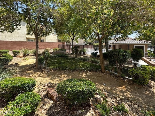 9869 Lime Tree St, Las Vegas, NV 89178 - view of yard