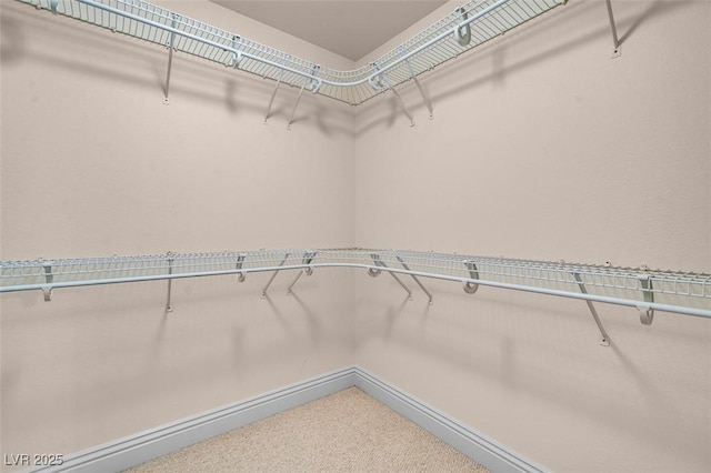 1312 Fragrant Spruce Ave, Las Vegas, NV 89123 - spacious closet with carpet flooring