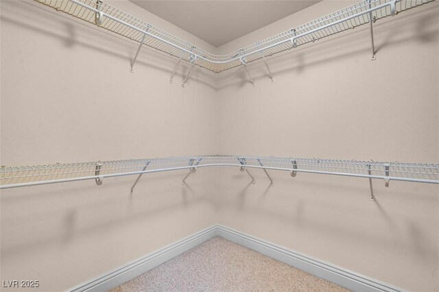 1312 Fragrant Spruce Ave, Las Vegas, NV 89123 - walk in closet with carpet floors